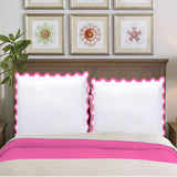 400TC U Shape Applique Embroidery Cotton Euro Sham