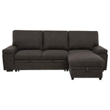 Demko Sleeper Sectional Sofa with Speaker and Storage Chaise Brown