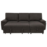 Demko Sleeper Sectional Sofa with Speaker and Storage Chaise Brown