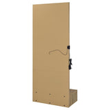 Spector 1-drawer Lighted Full-Length Floor Mirror Mango