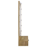 Spector 1-drawer Lighted Full-Length Floor Mirror Mango