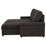 Demko Sleeper Sectional Sofa with Speaker and Storage Chaise Brown