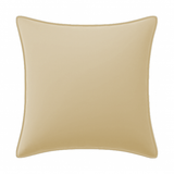 Velvet Pillow Cover (Set of 1)