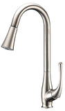 Singer Series Single-Handle Pull-Down Sprayer Kitchen Faucet