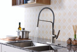 Accent Single Handle Pull-Down Sprayer Kitchen Faucet