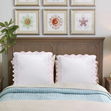 Imaginary Scallop 400TC Cotton Embroidery Sateen Solid Euro Pillow Sham