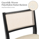 Aram Dining Chairs (Set of 2)