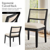 Aram Dining Chairs (Set of 2)