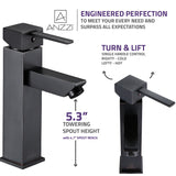 Pygmy Single Hole Single Handle Bathroom Faucet in Oil Rubbed Bronze