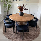 Mia Velvet Dining Chair with Arms (Set of 4)