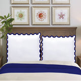 400TC U Shape Applique Embroidery Cotton Euro Sham