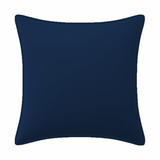 Velvet Pillow Cover (Set of 1)