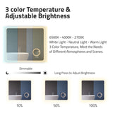 27-in. x 31-in. LED Front/Back Light Magnifying Bathroom Mirror w/Defogger