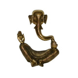 Disappearing Ganesha Statue