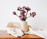 Flour Sack Kitchen Towels - Grain Sack Tea Towels