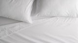 Bear Sheets