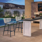 PURPLE LEAF Outdoor Bar Stools, All Weather Rattan and Aluminum Patio Bar Stool with Cushion for Indoor and Outdoor.