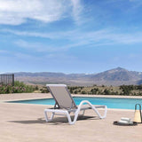 PURPLE LEAF Patio Chaise Lounge Chair Outdoor Plastic Textilene Sun Bathing Recliner Tanning Pool Lounger with 6 Adjustable Position for Outside Beach in-Pool Lawn Poolside