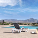 PURPLE LEAF Patio Chaise Lounge Chair Outdoor Plastic Textilene Sun Bathing Recliner Tanning Pool Lounger with 6 Adjustable Position for Outside Beach in-Pool Lawn Poolside