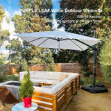 PURPLE LEAF Best Value Cantilever Patio Umbrella with Left-Right Tilt and 360° Swivel Outdoor Umbrellas