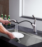 Di Piazza Single-Handle Pull-Out Sprayer Kitchen Faucet in Brushed Nickel