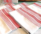Coral Dish Towels Set of 4