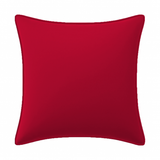 Velvet Pillow Cover (Set of 1)
