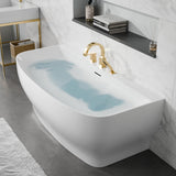 Bank Series 65 in. x 31 in. Flat Bottom Acrylic Freestanding Soaking Bathtub with Center Drain and Faucet