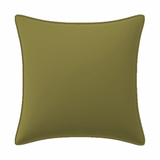 Velvet Pillow Cover (Set of 1)