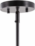 Shropshire Ceiling Light - Clearance