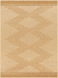 Colum Flatweave Faux Jute Outdoor Rug