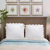 Imaginary Scallop 400TC Cotton Embroidery Sateen Solid Euro Pillow Sham