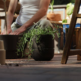 Large Planter