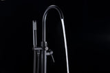 Coral Series 2-Handle Freestanding Tub Faucet with 60 in. Euro-Grip Hand Sprayer