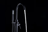 Coral Series 2-Handle Freestanding Tub Faucet with 60 in. Euro-Grip Hand Sprayer