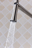 Accent Single Handle Pull-Down Sprayer Kitchen Faucet
