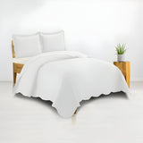 400TC Cotton Sateen Solid Scalloped Duvet Cover Set