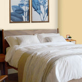 4 Layer Cotton Muslin Blanket