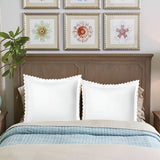 400TC Cotton Small Scallop Embroidery Euro Sham