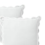 400TC Luxurious Scallop Embroidery & Border Cotton Euro Sham