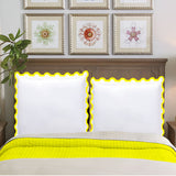 400TC U Shape Applique Embroidery Cotton Euro Sham