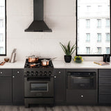 ZLINE 24" Black Stainless, Gas Brass Burner, Electric Range, RAB-BR-24