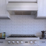 ZLINE 30" DuraSnow Stainless Under Cabinet Range Hood, 8685S-30