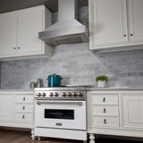 ZLINE 30" Snow Finish Stainless Range Hood with Snow Finish Shell, 8654SN-30