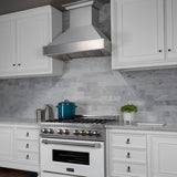 ZLINE 36" Snow Finish Stainless Range Hood with Snow Finish Shell, 8654SN-36