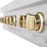 ZLINE 48" Autograph Edition, Rangetop, DuraSnow, Gold Accent, RTSZ-48-G