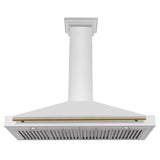 ZLINE 48" Autograph Edition Stainless Steel Range Hood with Stainless Steel Shell and Champagne Bronze Accents KB4STZ-48-CB