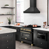 ZLINE Black Stainless Steel Range Hood with Black Stainless Steel Handle - BS655-36-BS