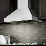 ZLINE Ducted Wall Mount Range Hood in Outdoor Approved Stainless Steel 697-304-30