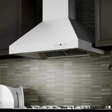 ZLINE Ducted Wall Mount Range Hood in Outdoor Approved Stainless Steel 697-304-36